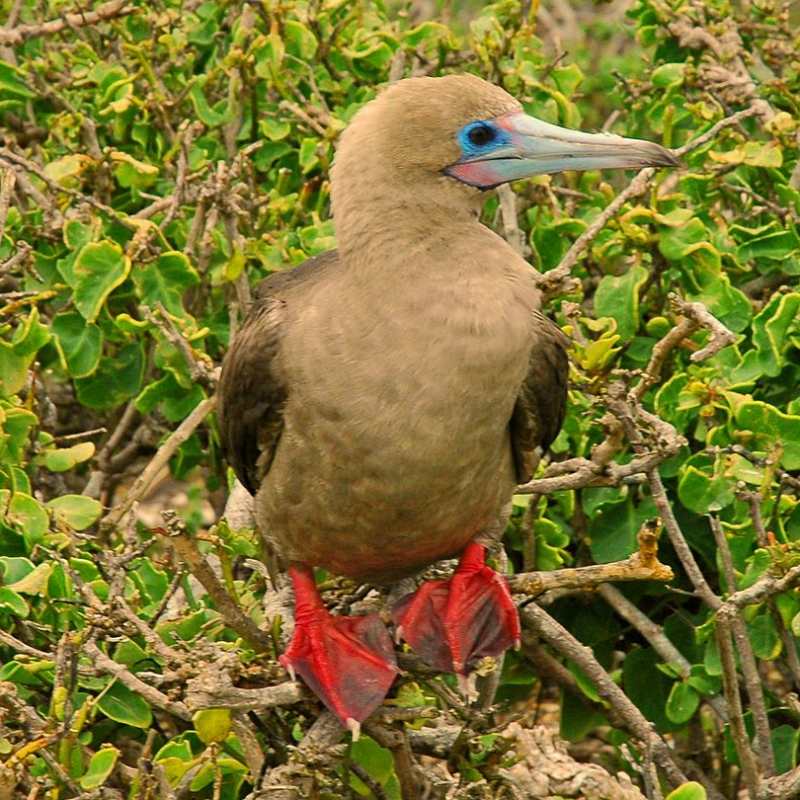 Ecuador and Galapagos with Kids 