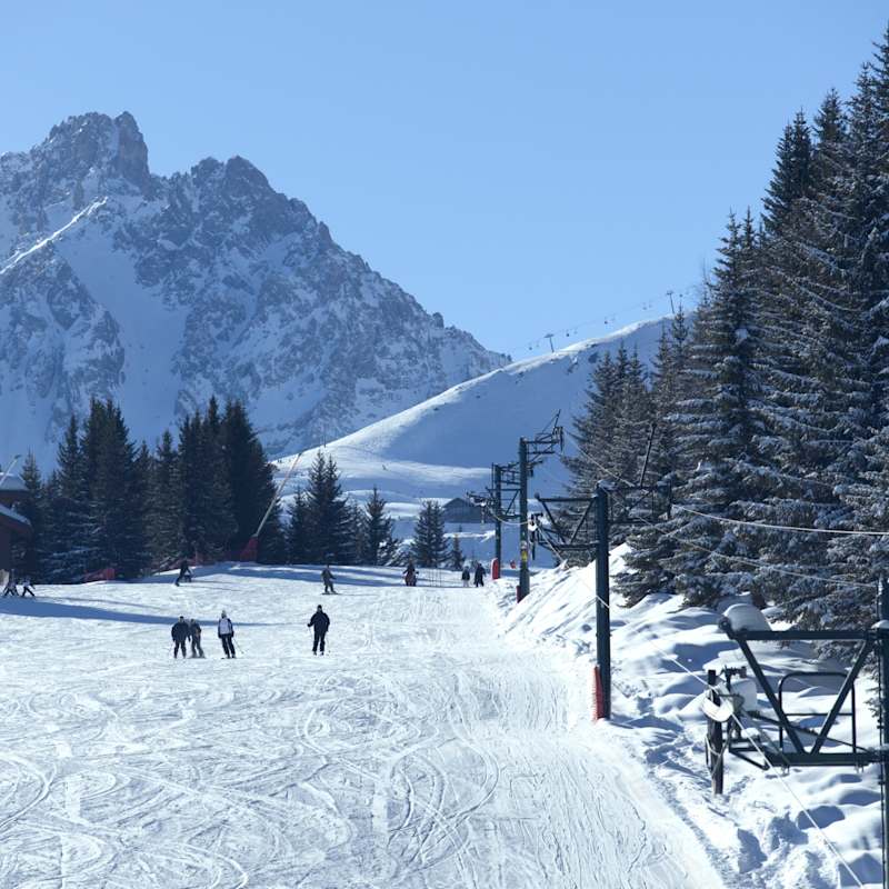 Skiing 