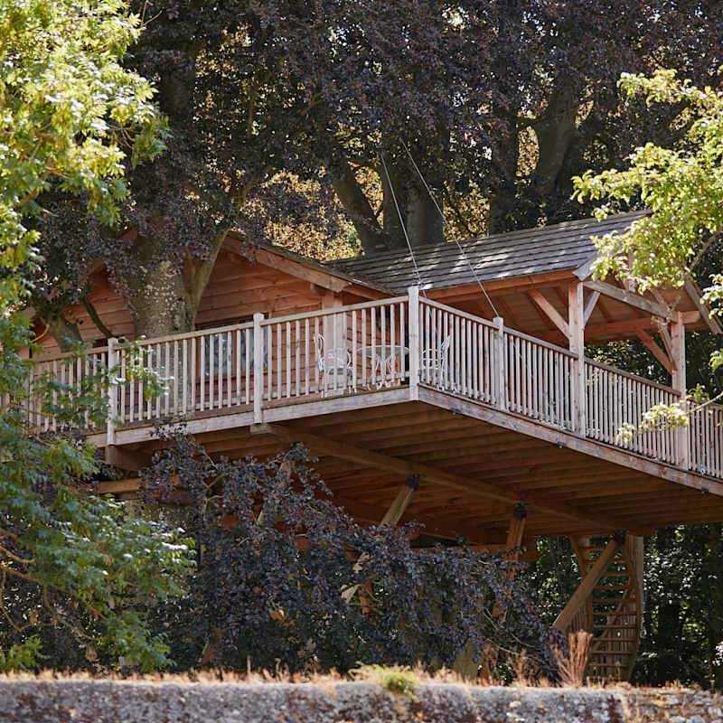 Treehouse 