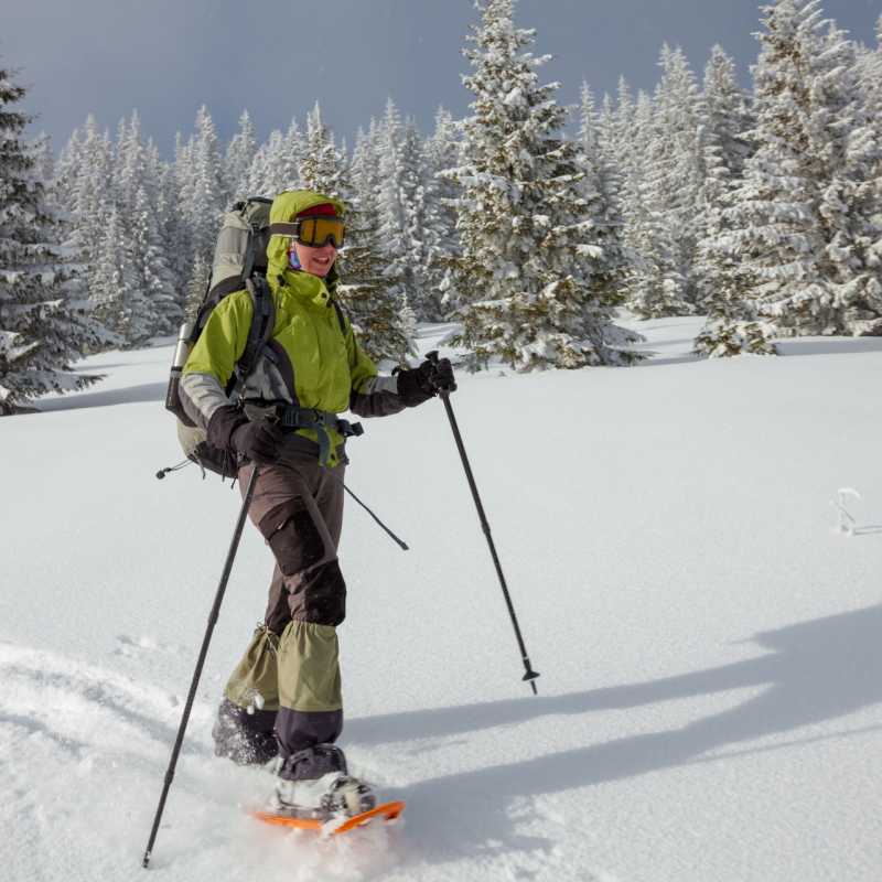 Snowshoeing - Chamonix 