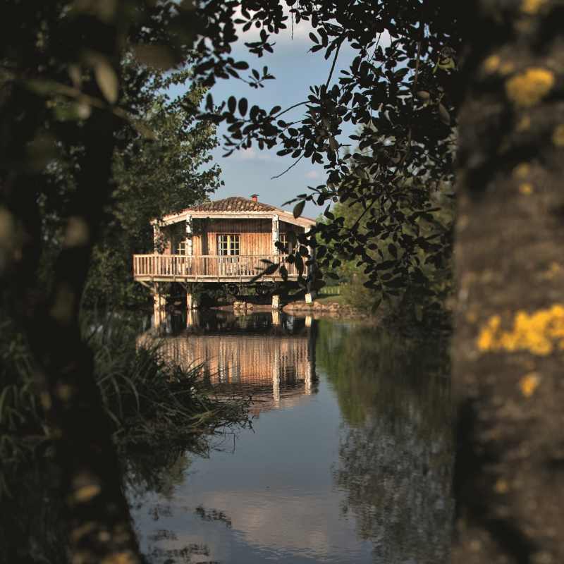 Aux Oiseaux Signature suite 