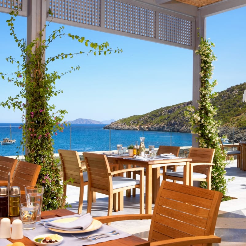 Daios Cove Taverna Restaurant 