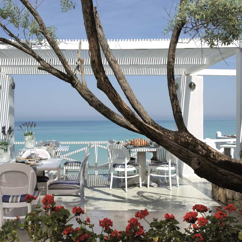 Ouzerie Restaurant - Sani Club