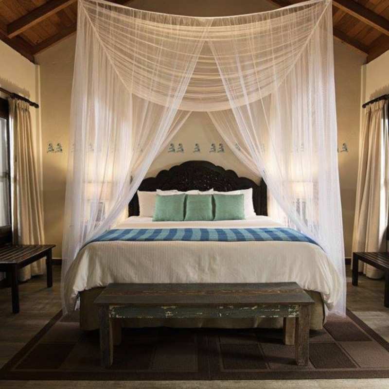 Jungle Lodge Bedroom 