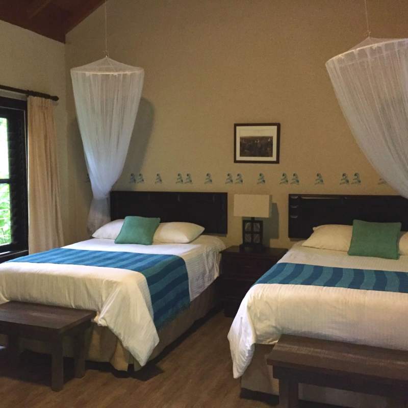Jungle Lodge Twin Room 