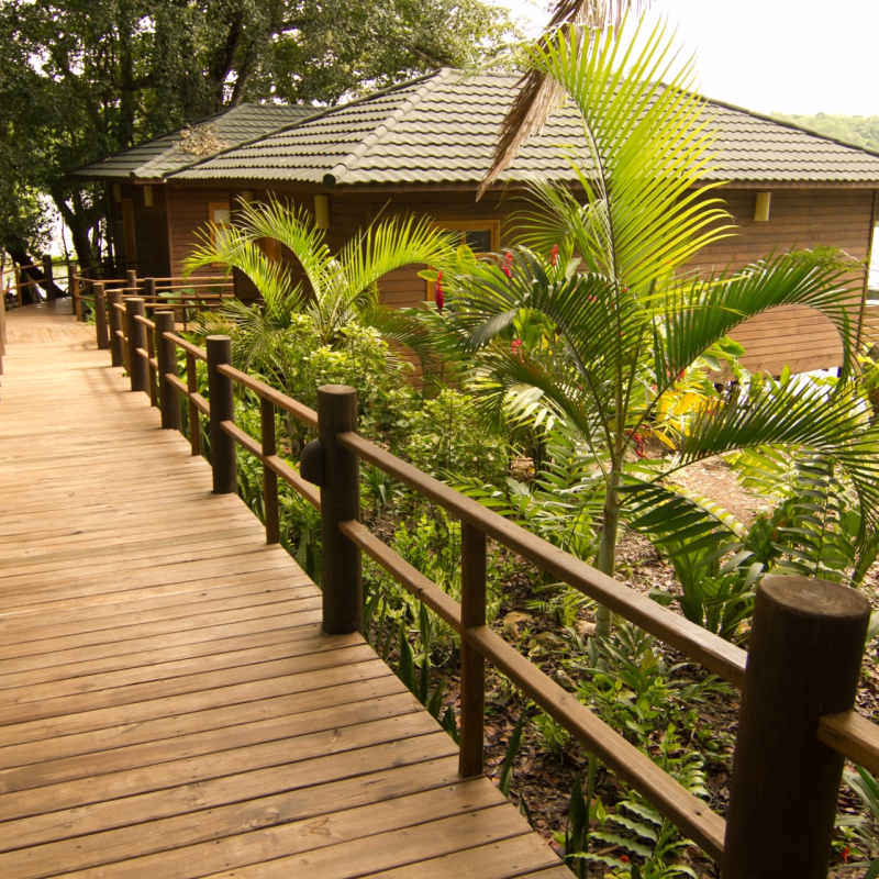 Jungle walkways - Las Lagunas