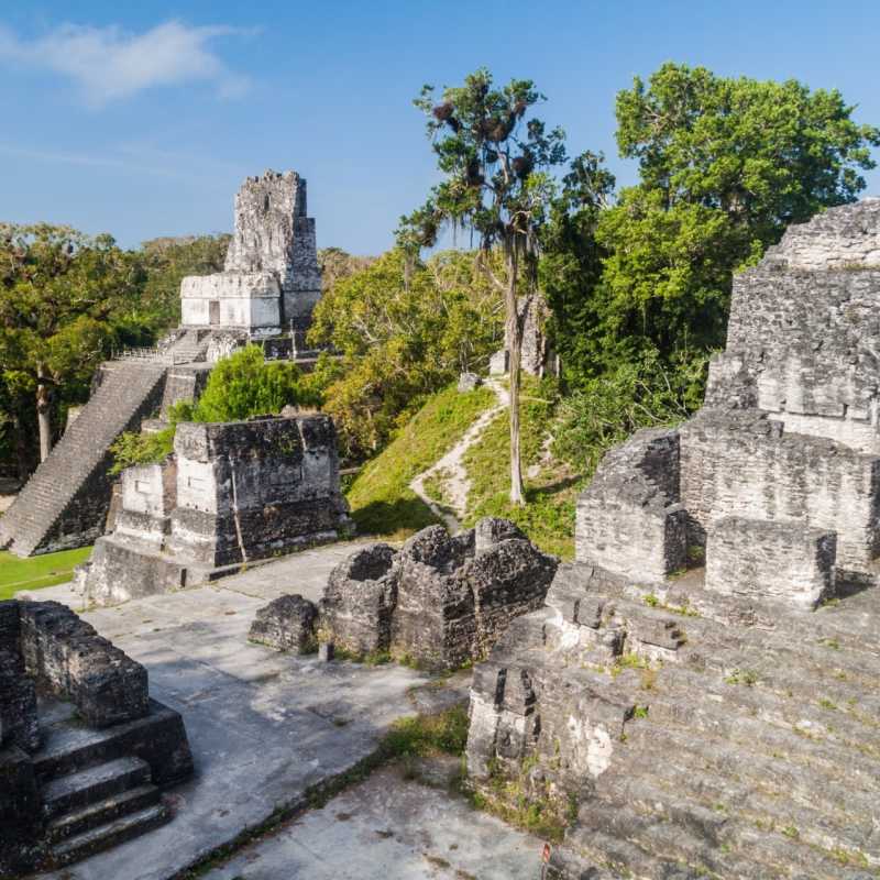 Tikal Ruins  