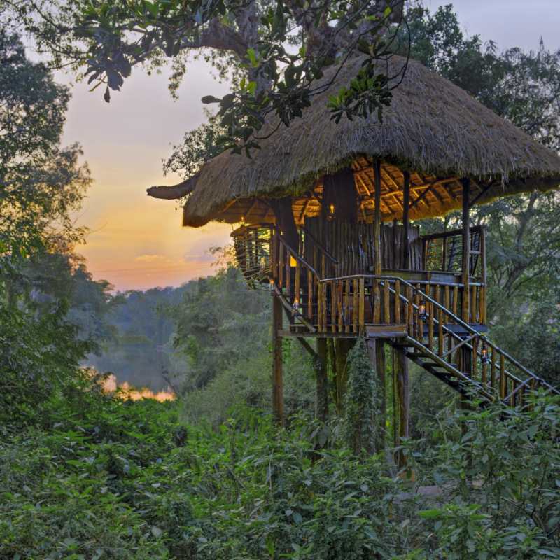 Treehouse - Evolve Back Chikkana Halli Estate