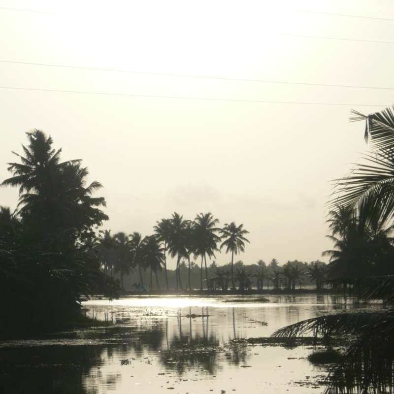 Backwaters - Houseboat