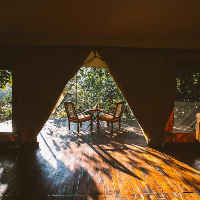 Spacious Tents - Jamtara Wilderness Camp