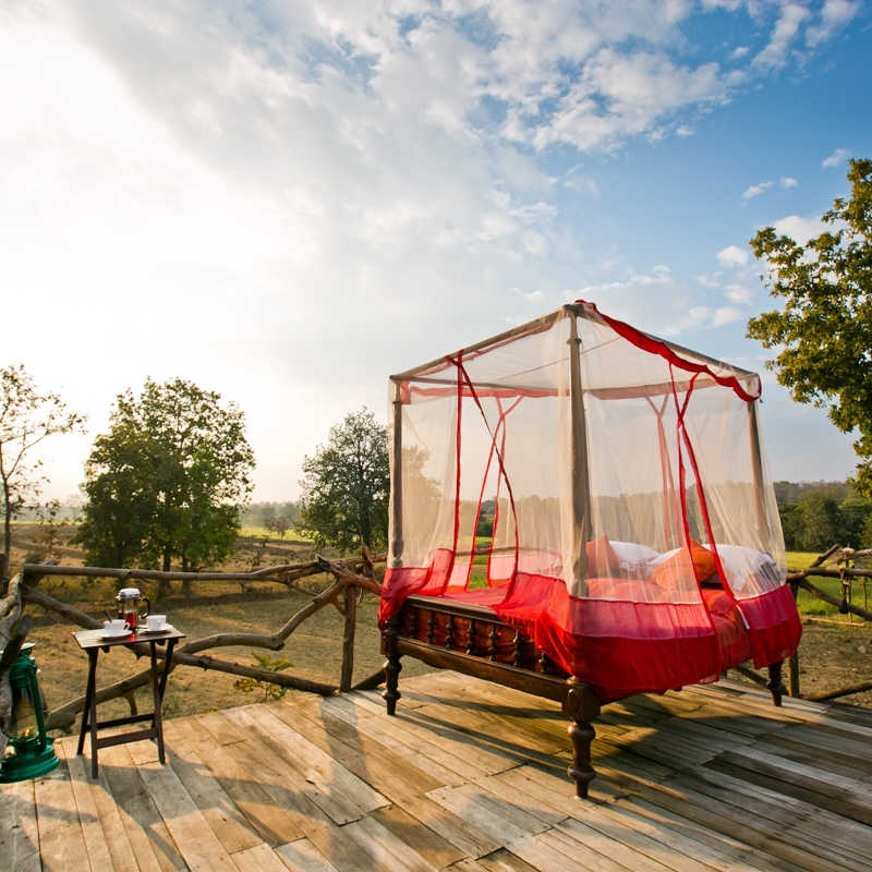 Starbed - Jamtara Wilderness Camp