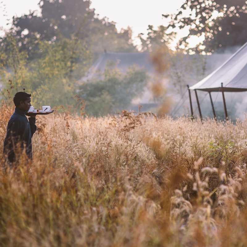 Excellent Service - Jamtara Wilderness Camp
