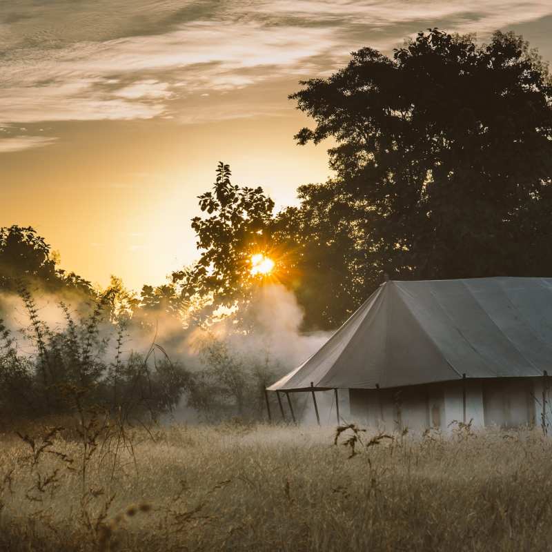 Misty Mornings - Jamtara Wilderness Camp