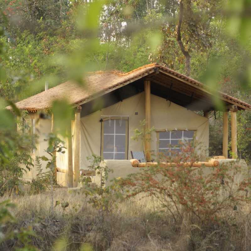Tent - Shergarh Tented Camp