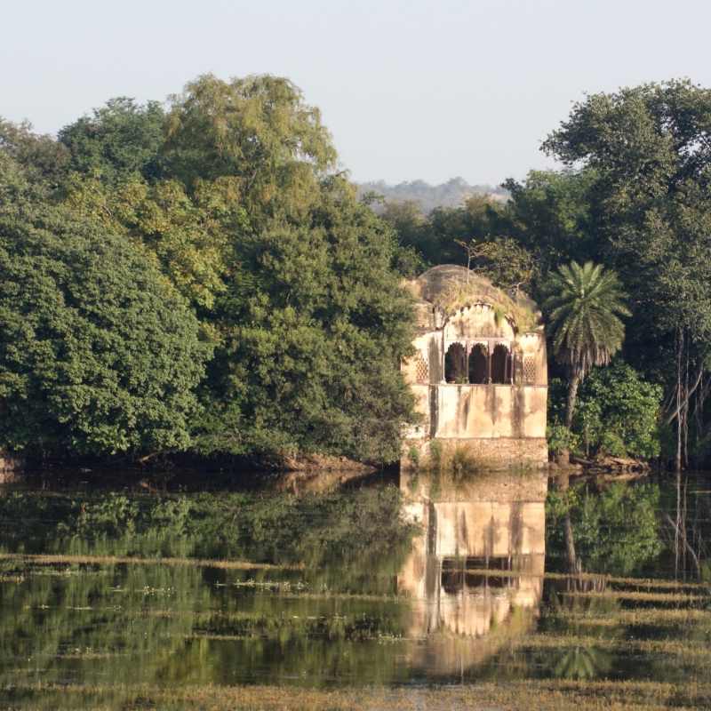 Ranthambore National Park - The Oberoi Vanyavilas