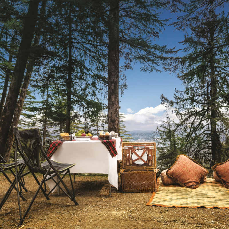 Picnic at the Peak - Shimla
