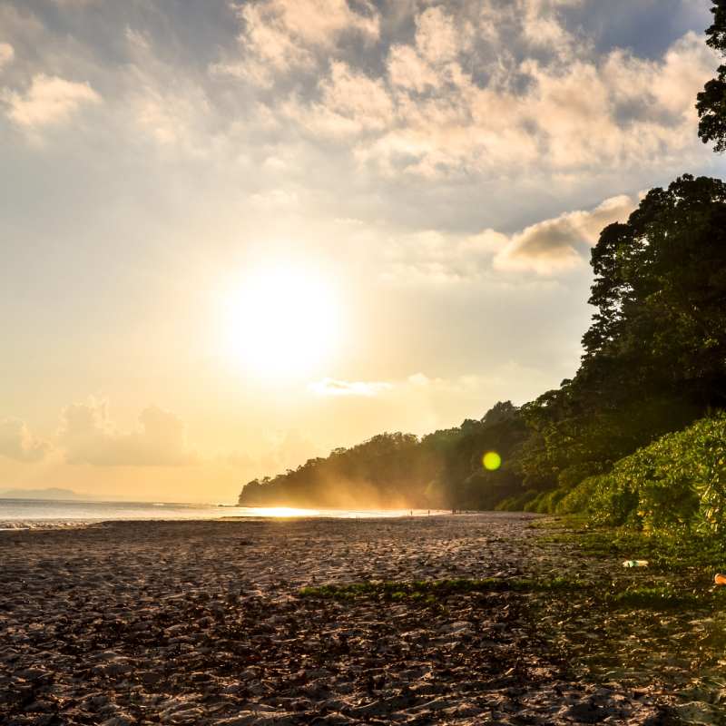 Havelock Island - Tamil Nadu & the Andamans