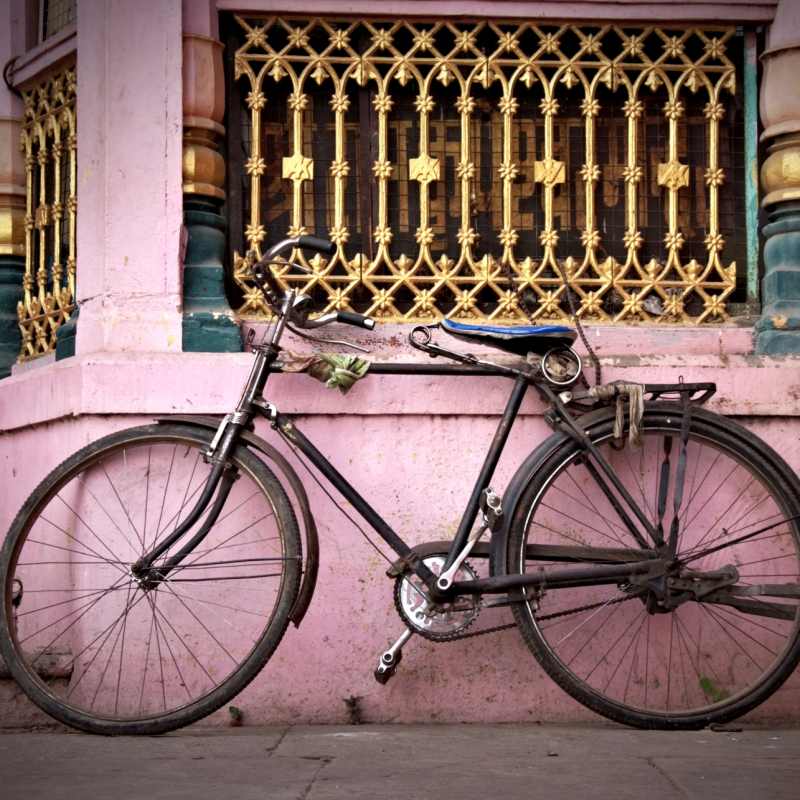 Bicycle in Delhi 