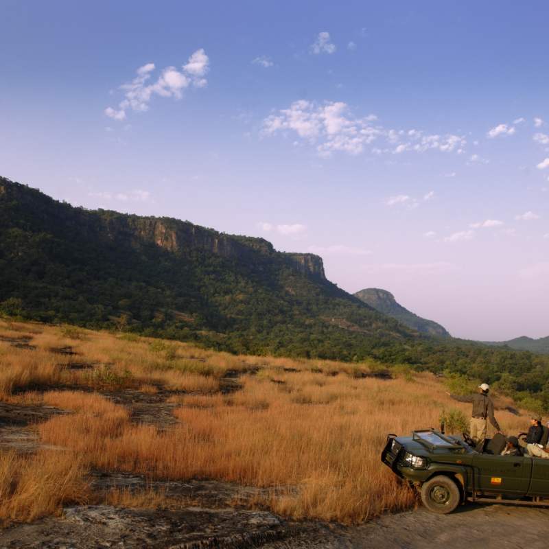 Wild India  