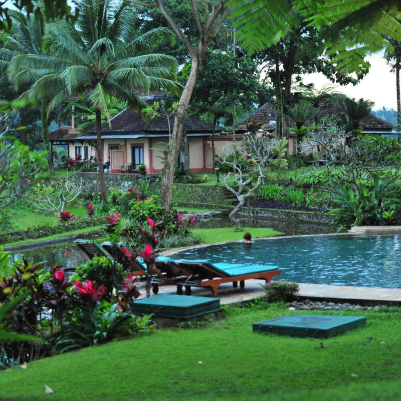 Swimming Pool - Ijen Resort