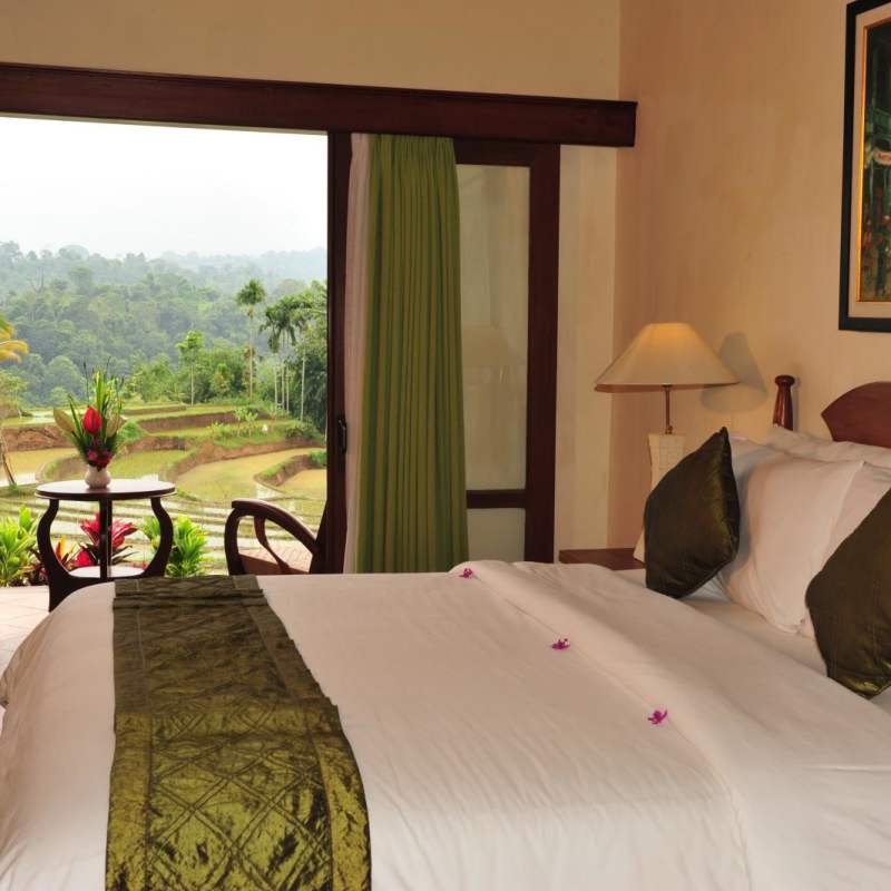 Junior Suite - Ijen Resort