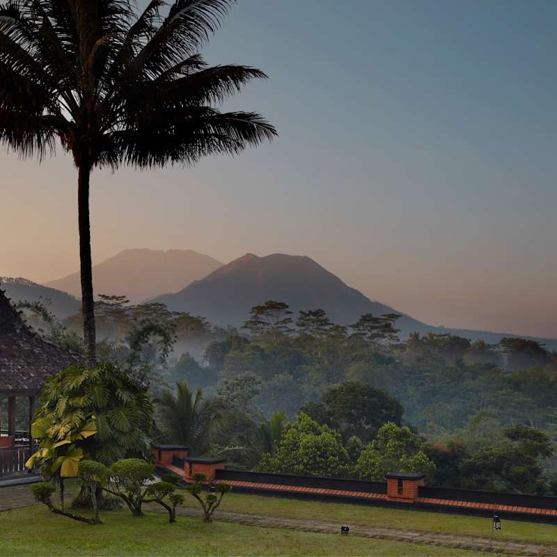 Landscape - MesaStila
