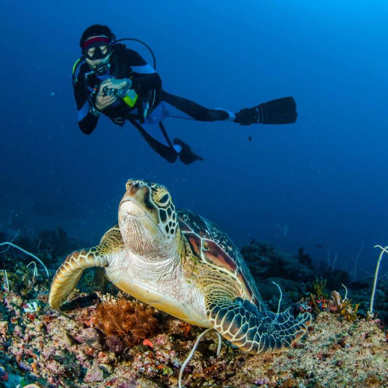 Diving Lombok - Bali and Lombok