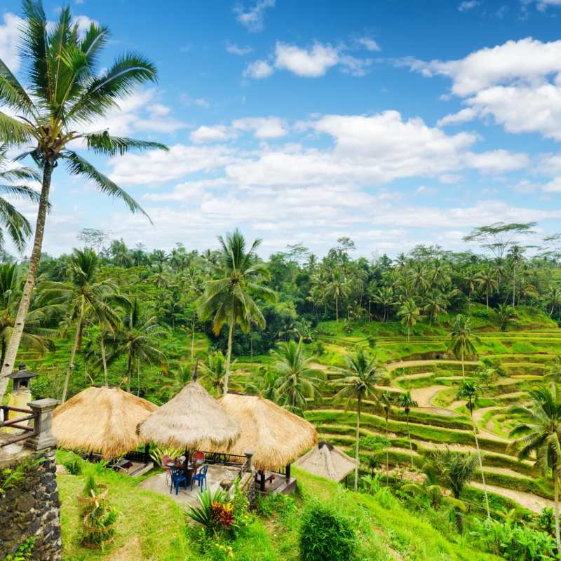 Bali - Bali and Lombok