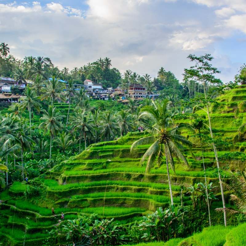 Ubud 