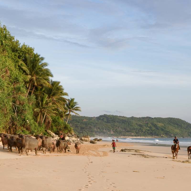 Horseriding at Nihi 