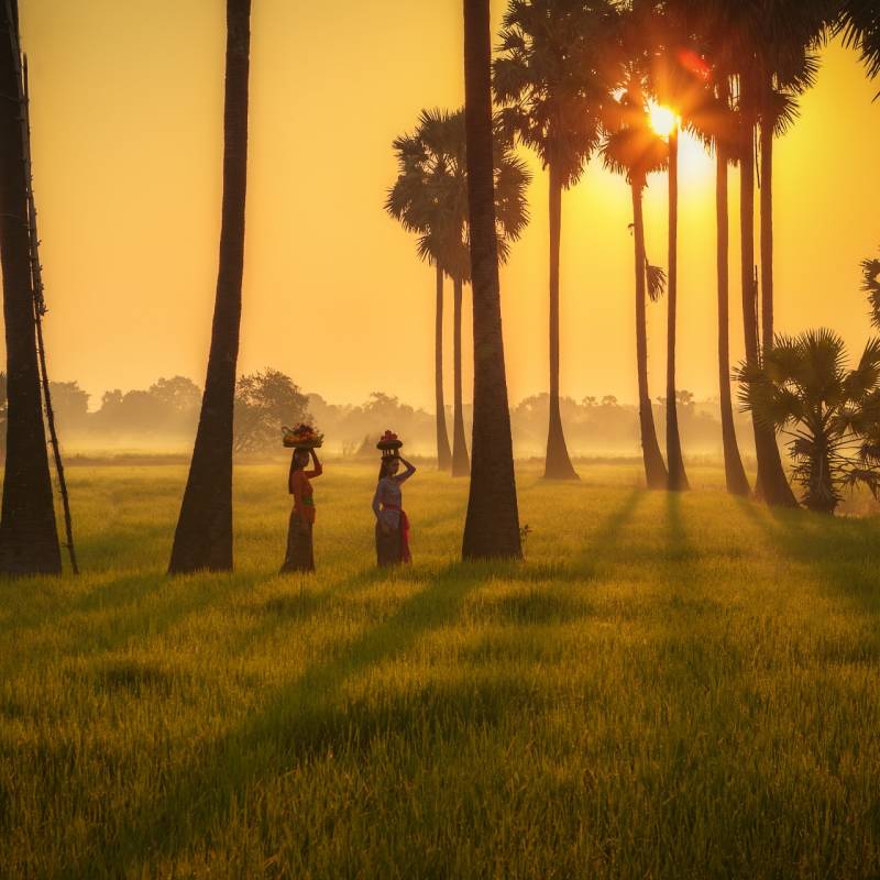 Java and Bali 