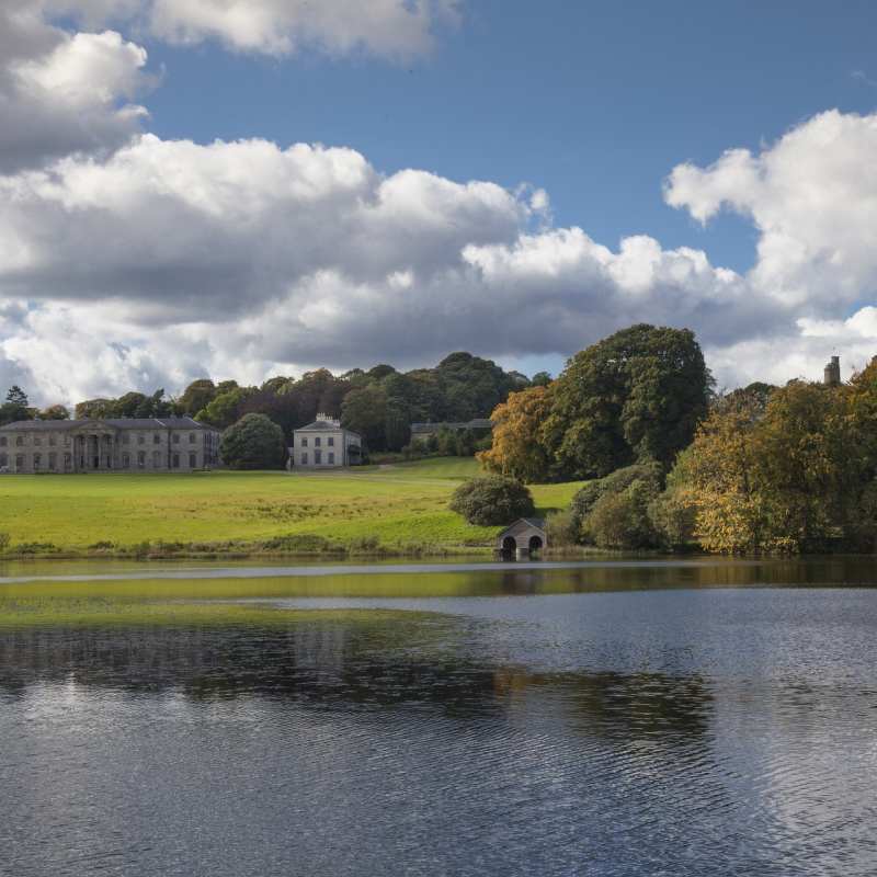 Ballyfin 