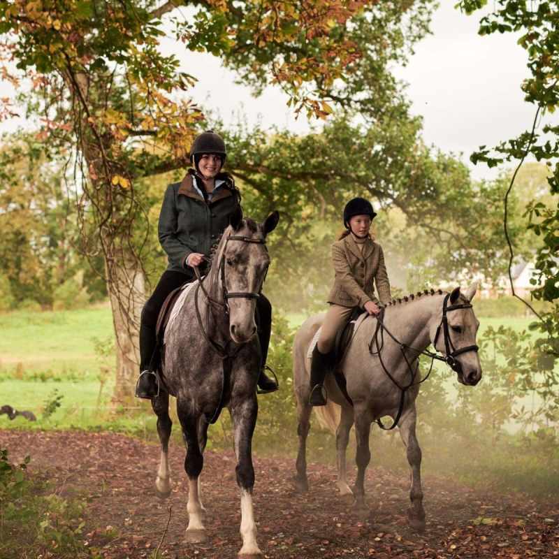 Horse riding 