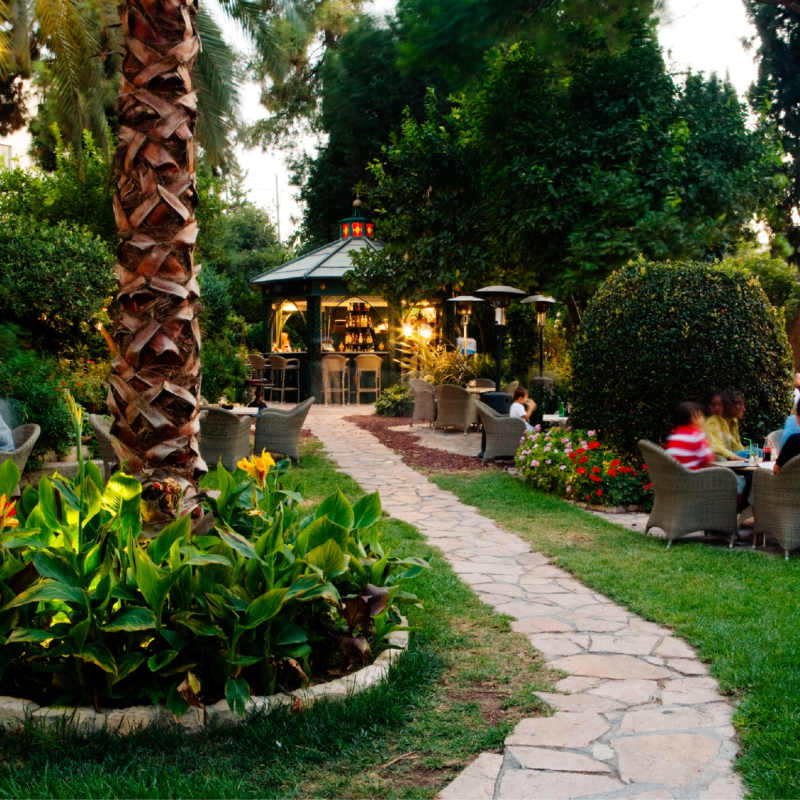Summer Bar 