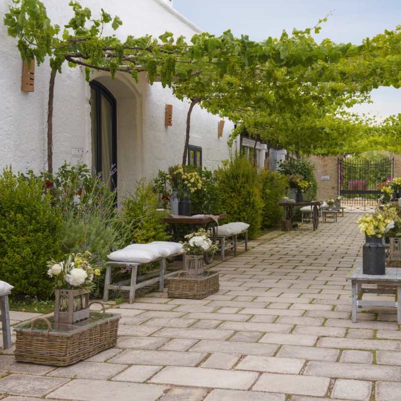 Exterior Garden 