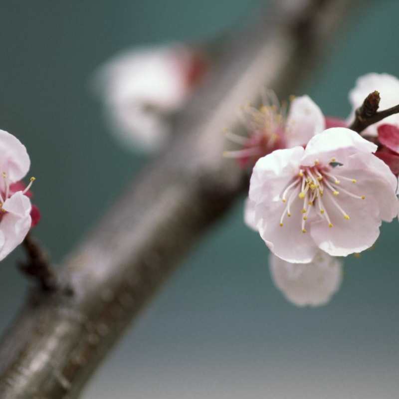 Discover Rest of Japan