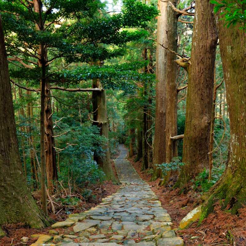 Kumano Kodo 