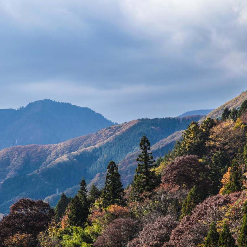 Nakasendo Walking Trail 