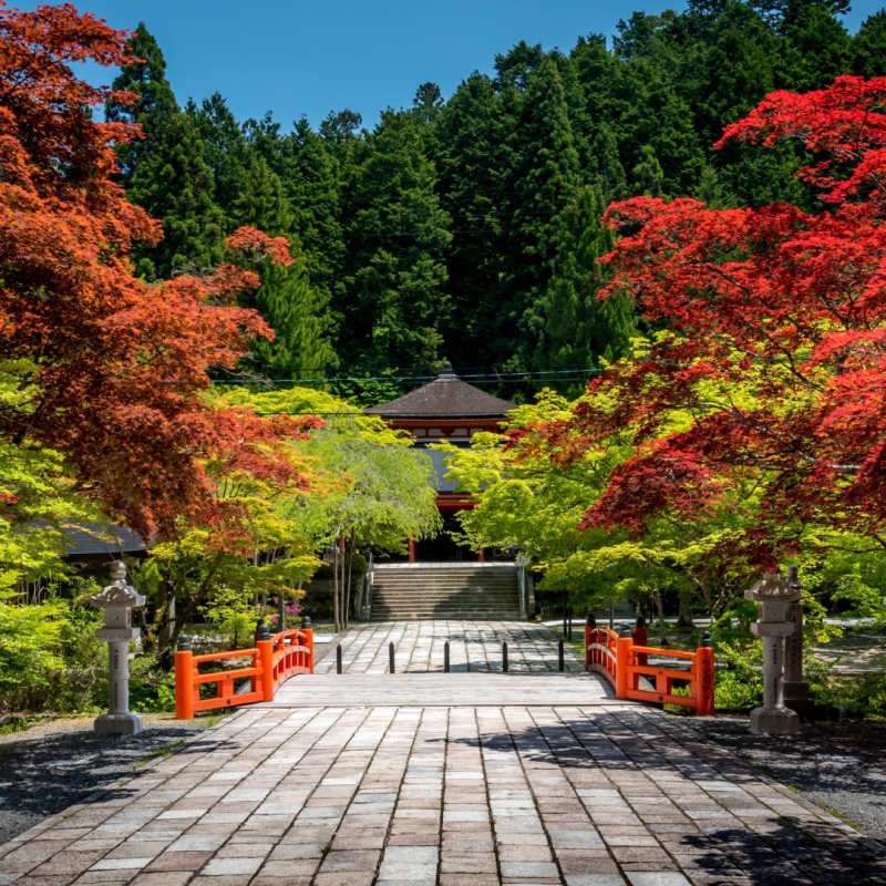 Mount Koya 