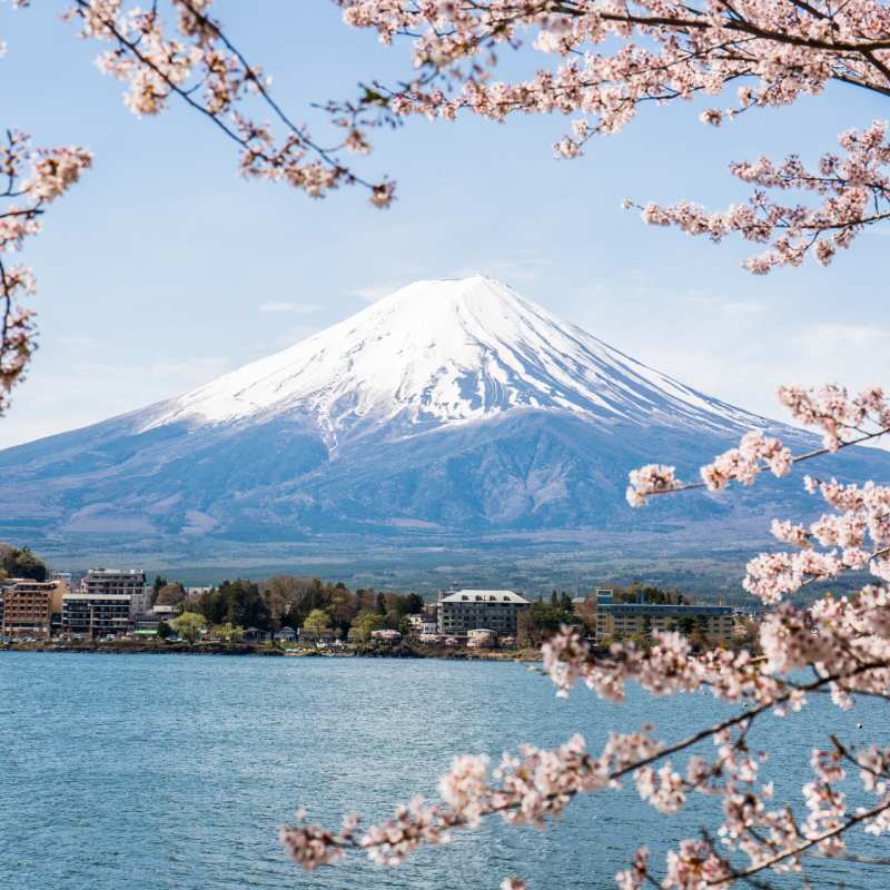 Fuji 