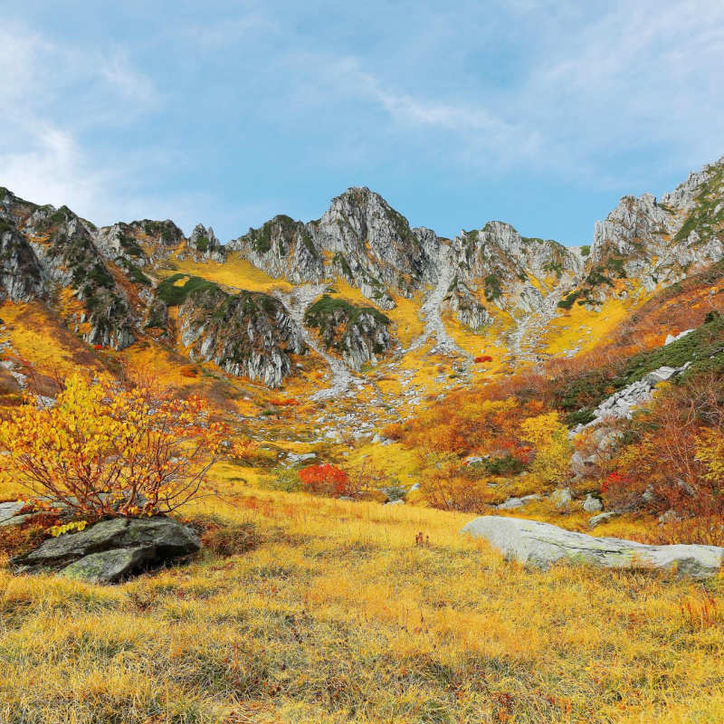 Autumn scenery 
