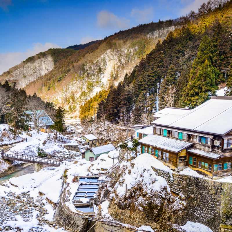 Snow Monkey Park 