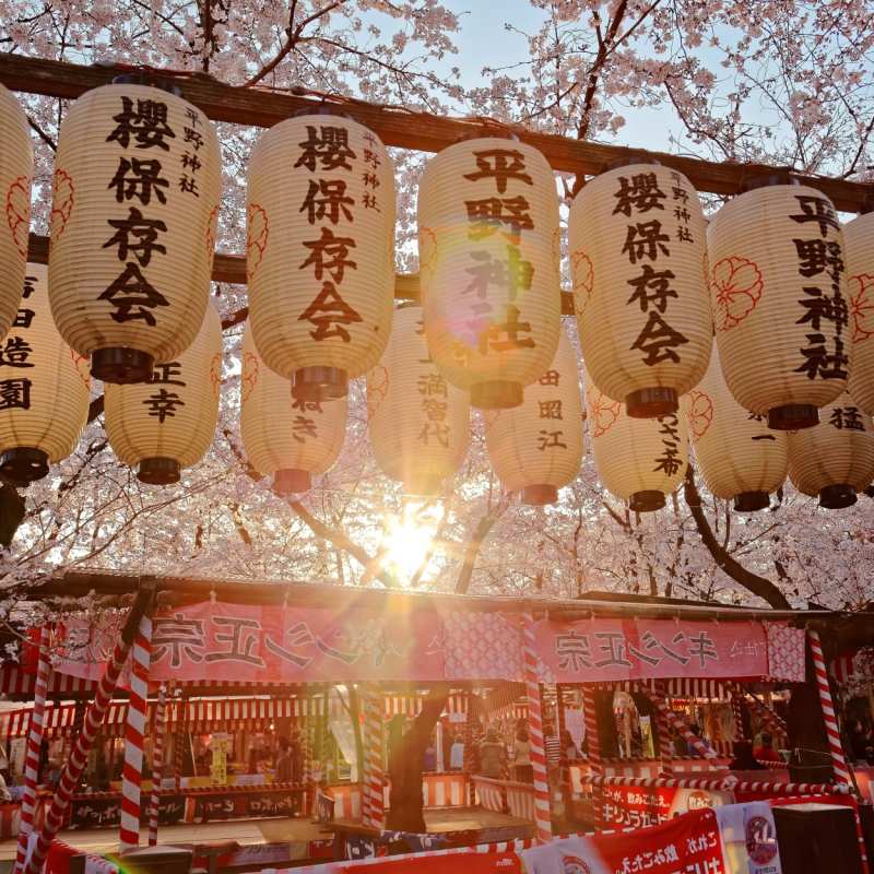 Cherry Blossom Festival (Sakura Matsuri), Kyoto