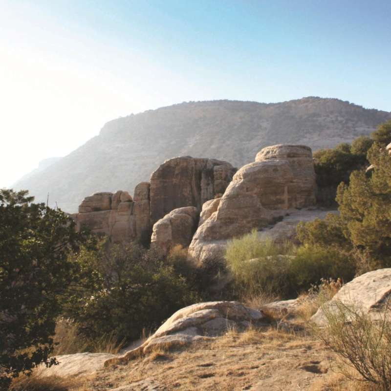Dana Guesthouse - Discover Dana Nature Reserve