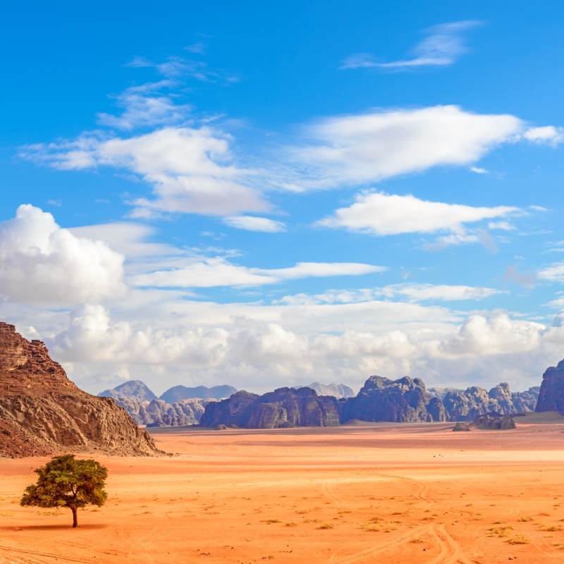Wadi Rum - Active Jordan