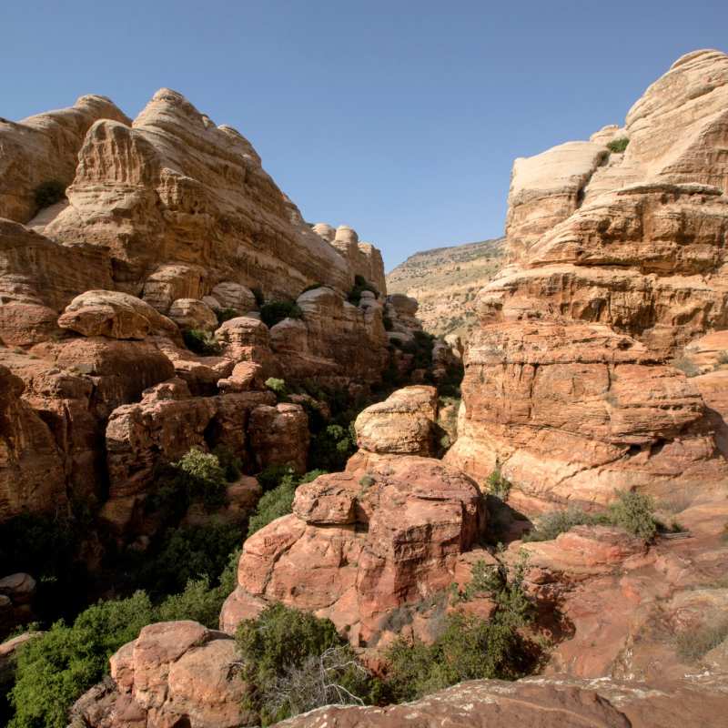 Dana Nature Reserve 