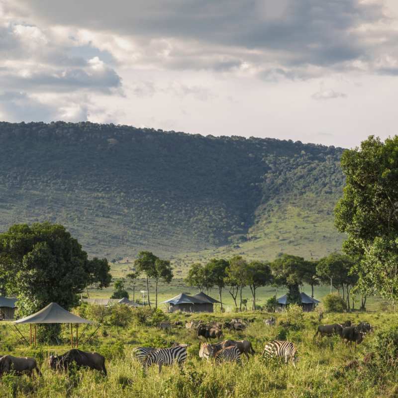 Angama Safari Camp - Amidst Wildlife 