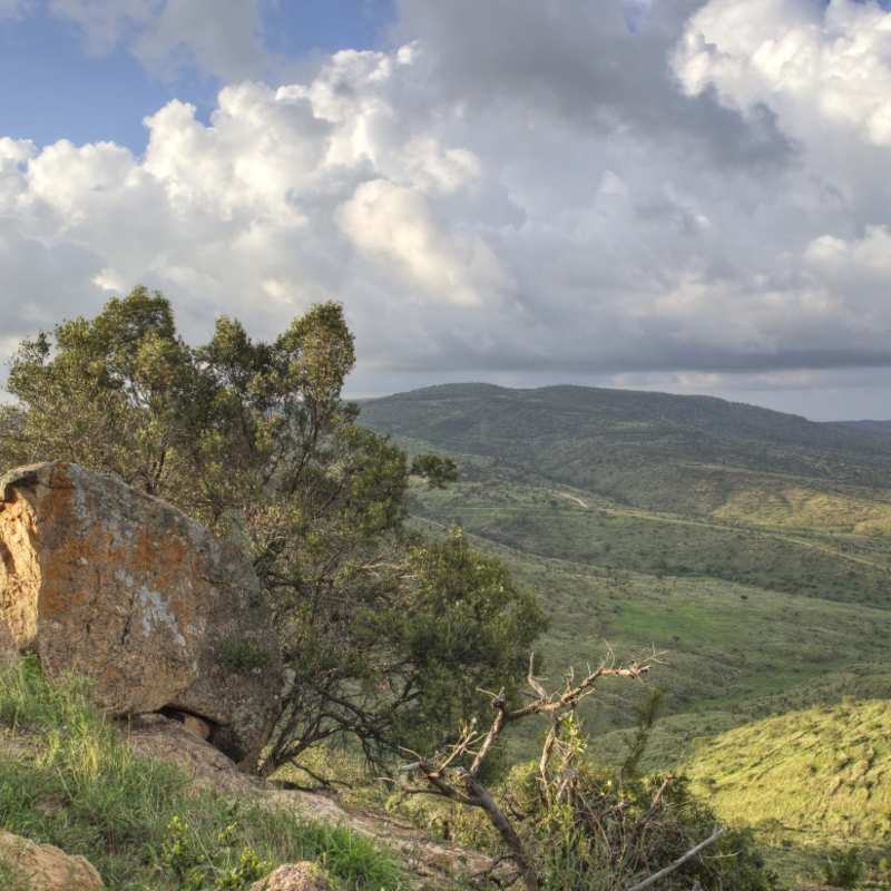 Views at Borana 