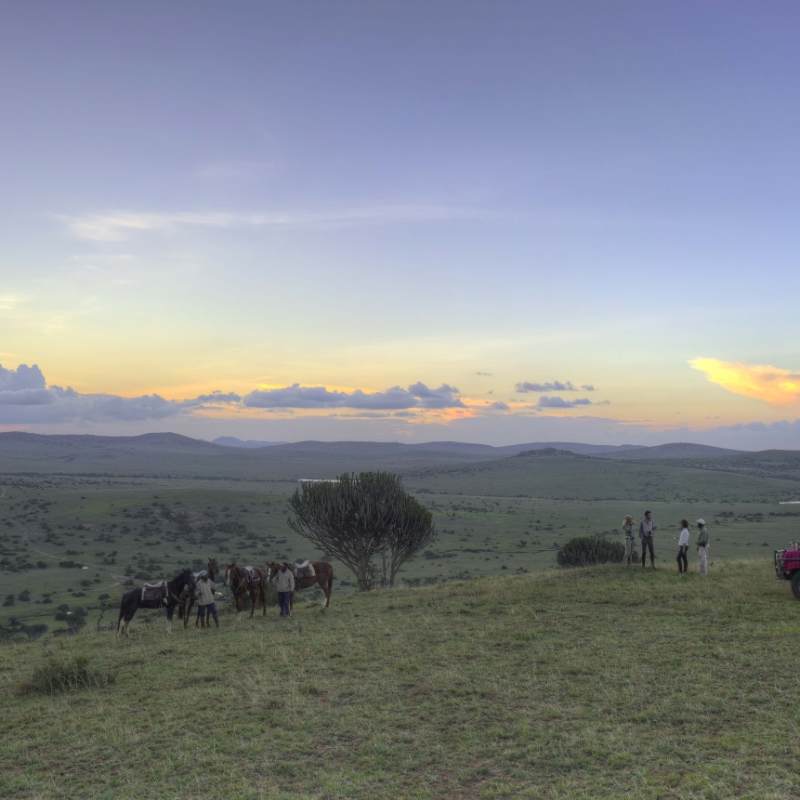 Game drive on Borana 