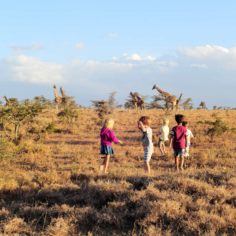 Kids playing in front of a herd of giraffe - El Karama Eco Lodge